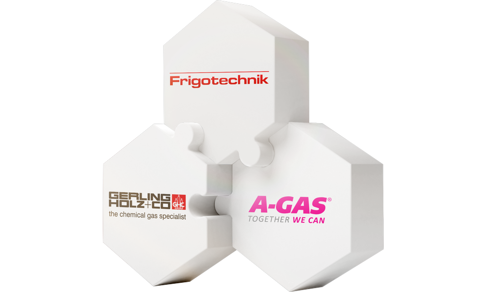 Effiziente Partnerschaften für den Phase-Down